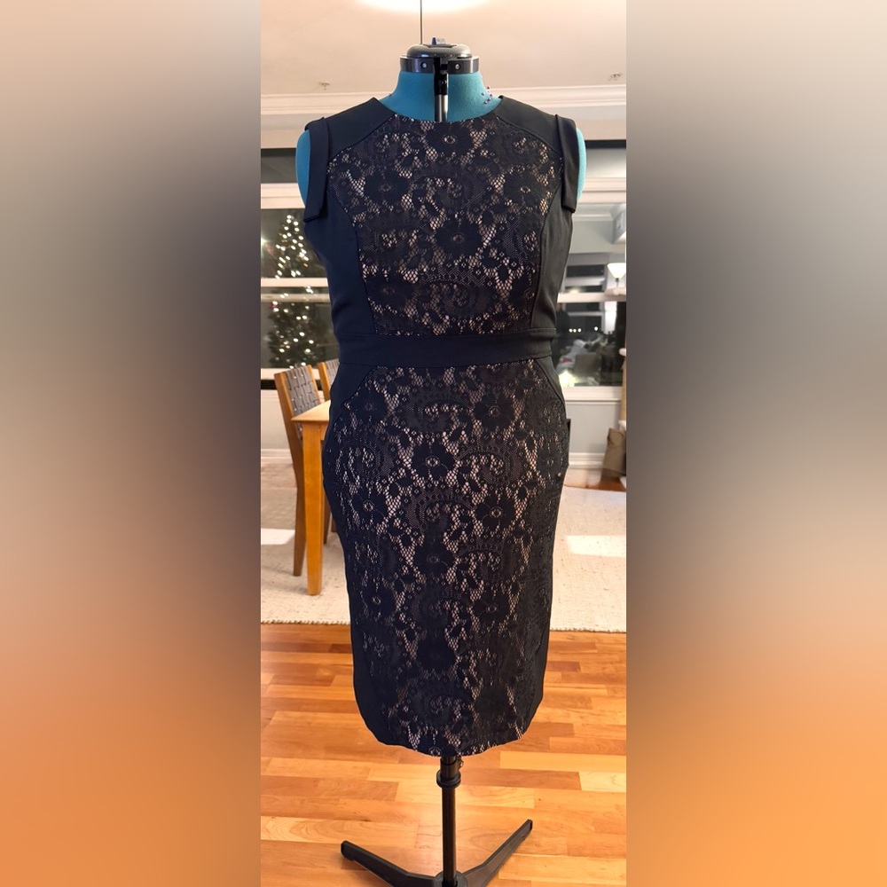 Adrianna Papell | Black and Nude Lace Fitted Knee-Length Sheath Dress | 16